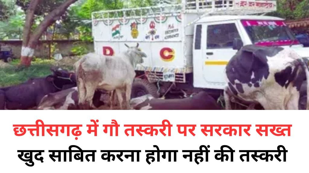 CG Cow Smuggling Rule 2025