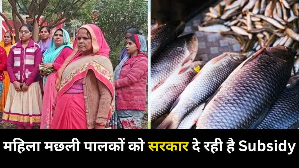 The government is giving subsidy to women fish farmers